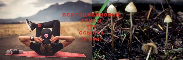 синтетический гашиш Баксан